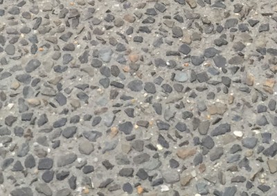 Exposed Aggregate - Wild